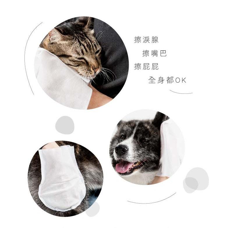【寵物保養品】台灣製 蹦蹦跳 寵物擦澡手套(5片/包)  寵物清潔用品 寵物濕紙巾 貓咪洗澡 貓咪擦澡 貓洗澡-細節圖6