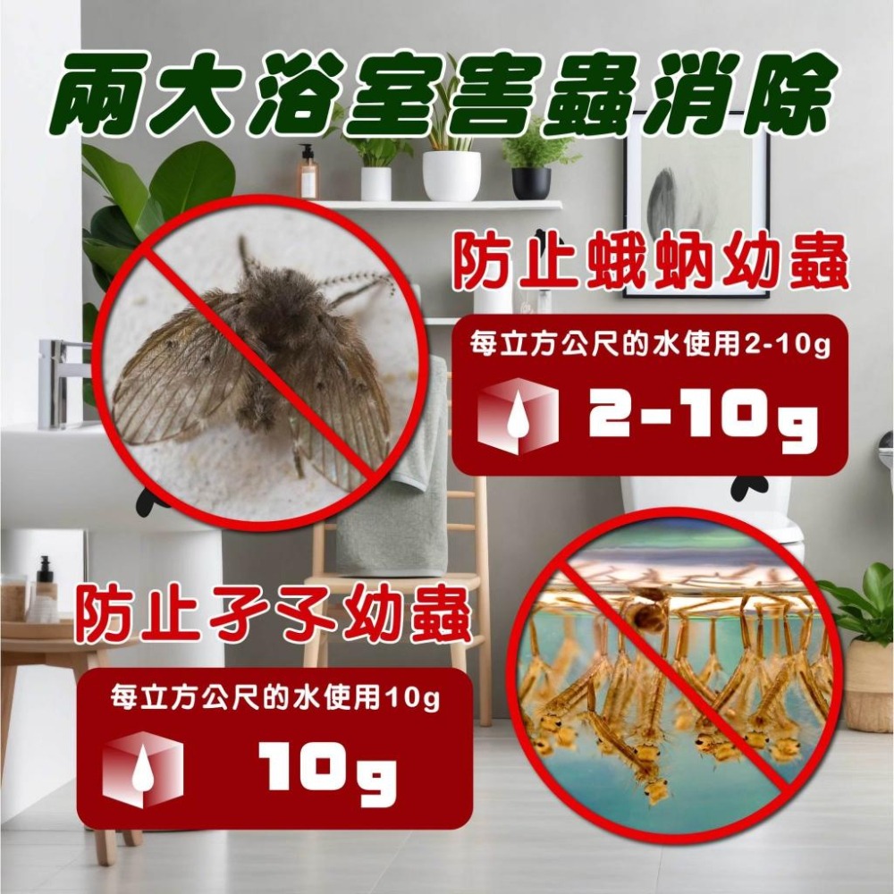 穩無蠓【蛾蚋剋星】100g 廁所飛蟲 浴室飛蟲 排水口防蟲 蛾蚋 孑孓 蚊子幼蟲 蚊子 蛾蚋神器 廁所蟲 小飛蟲 馬桶蟲-細節圖2