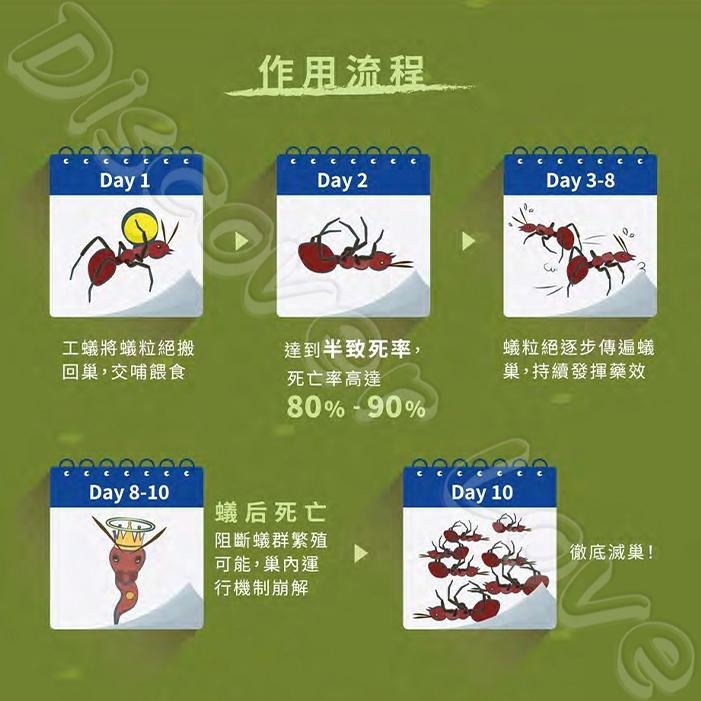 【德國 巴斯夫】蟻粒絕 170g 紅火蟻 一般螞蟻 滅蟻 螞蟻藥 除蟻 螞蟻 螞蟻剋星-細節圖4