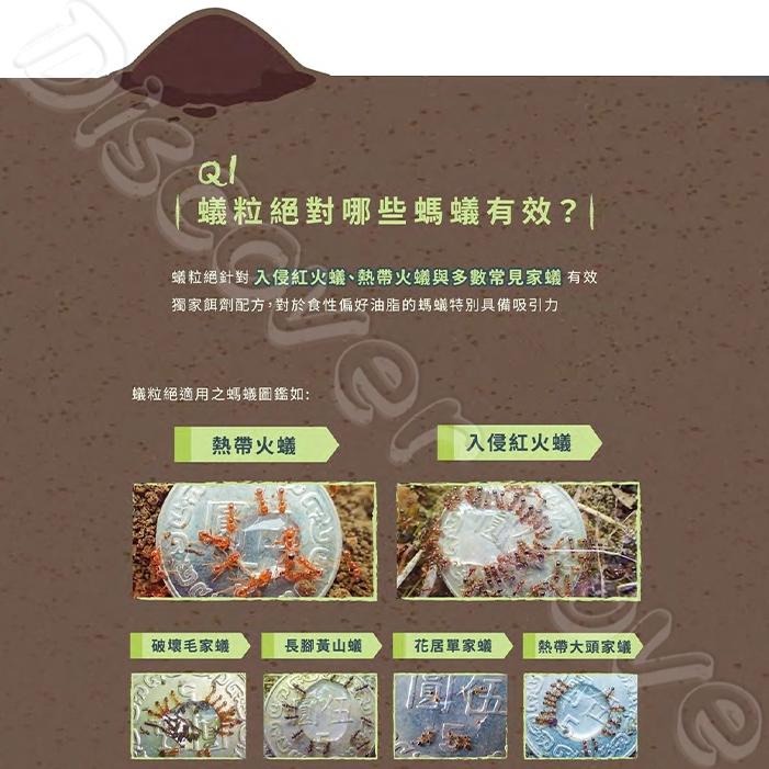 【德國 巴斯夫】蟻粒絕 170g 紅火蟻 一般螞蟻 滅蟻 螞蟻藥 除蟻 螞蟻 螞蟻剋星-細節圖7