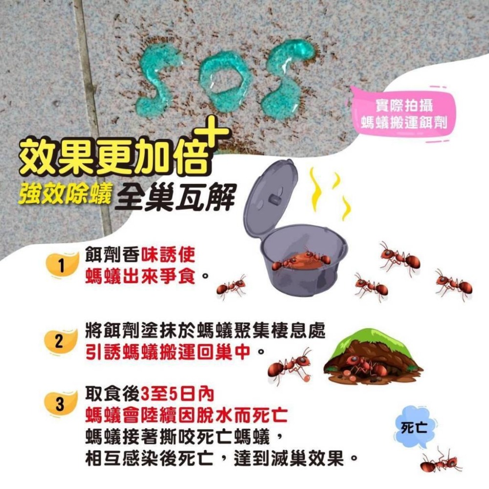 奧除 蟻窩滅(黃) 【全新第三代升級加強版】買就送螞蟻藥專用餌劑盒 新奧除驅蟻劑(藍瓶)80g 螞蟻藥 火蟻 除蟻-細節圖4