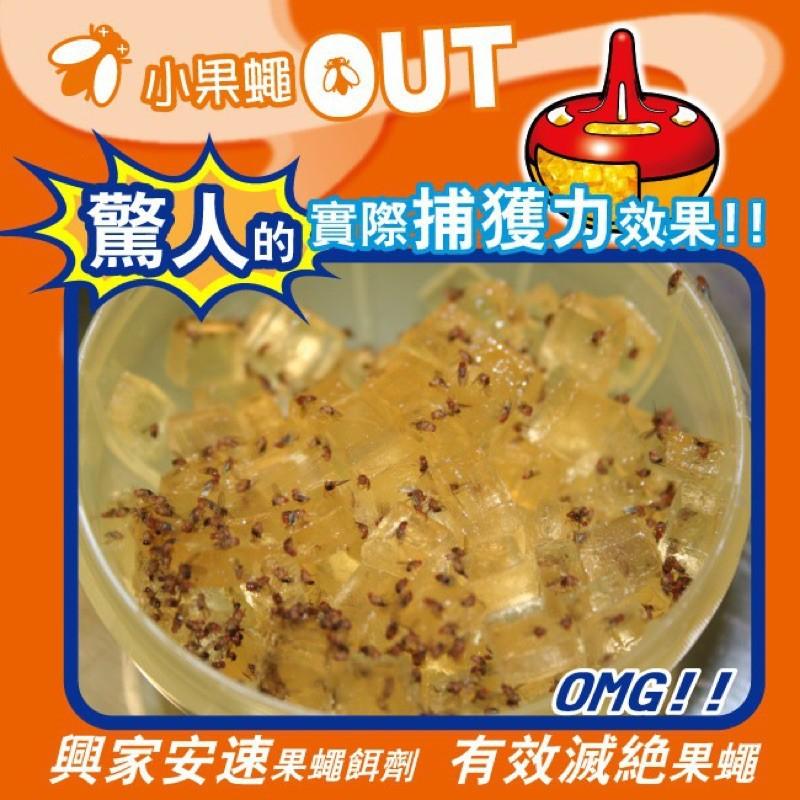 興家安速 果蠅餌劑 2入超值組｜日本原裝｜果凍餌劑｜室內適用【小嗶購物】-細節圖3
