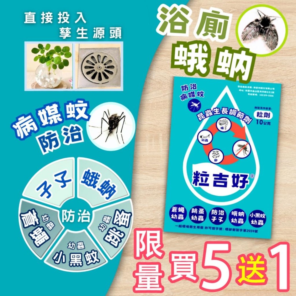 【幼蟲防治】粒吉好｜昆蟲生長調節劑｜孑孓防治｜蛾蚋排水孔｜孑孓×蛾蚋×跳蚤×小黑蚊×蒼蠅【小嗶購物】-細節圖2