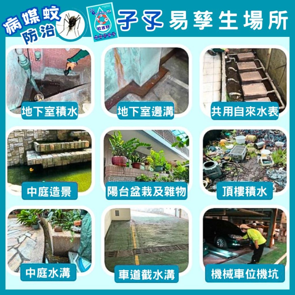 【幼蟲防治】粒吉好｜昆蟲生長調節劑｜孑孓防治｜蛾蚋排水孔｜孑孓×蛾蚋×跳蚤×小黑蚊×蒼蠅【小嗶購物】-細節圖3