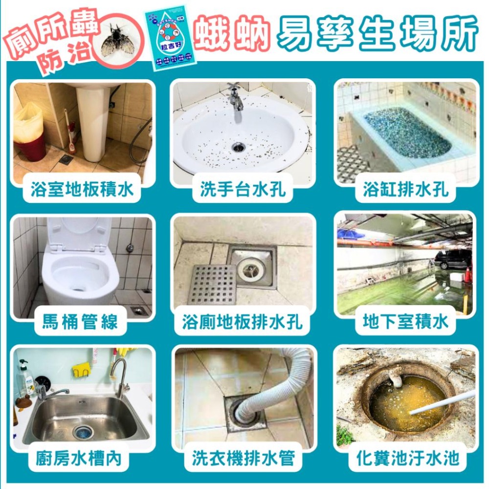 【幼蟲防治】粒吉好｜昆蟲生長調節劑｜孑孓防治｜蛾蚋排水孔｜孑孓×蛾蚋×跳蚤×小黑蚊×蒼蠅【小嗶購物】-細節圖4
