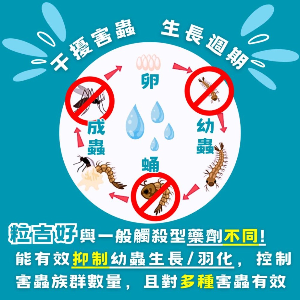 【幼蟲防治】粒吉好｜昆蟲生長調節劑｜孑孓防治｜蛾蚋排水孔｜孑孓×蛾蚋×跳蚤×小黑蚊×蒼蠅【小嗶購物】-細節圖7