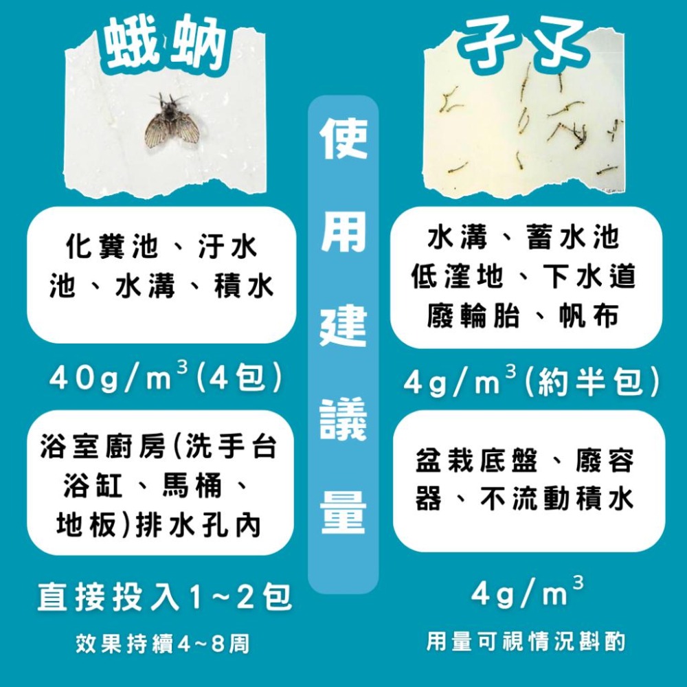 【幼蟲防治】粒吉好｜昆蟲生長調節劑｜孑孓防治｜蛾蚋排水孔｜孑孓×蛾蚋×跳蚤×小黑蚊×蒼蠅【小嗶購物】-細節圖9