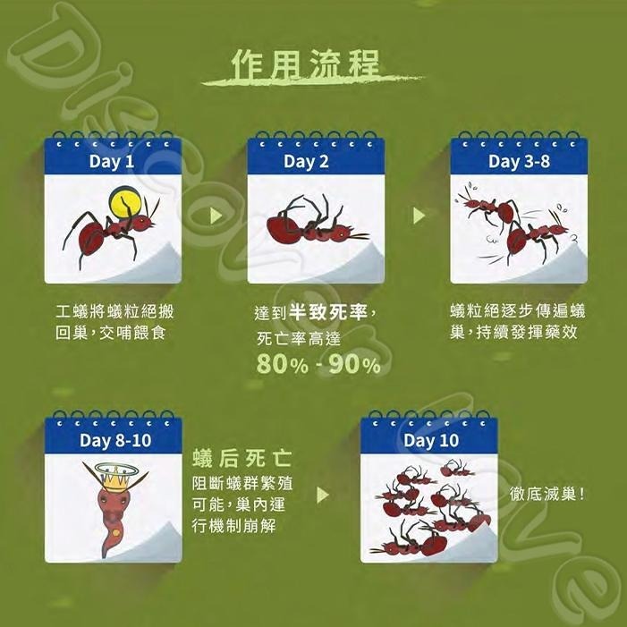 【德國 巴斯夫】蟻粒絕 170g｜２瓶超值組｜紅火蟻｜一般螞蟻 ｜滅蟻｜螞蟻｜除蟻｜螞蟻｜螞蟻剋星【小嗶購物】-細節圖4