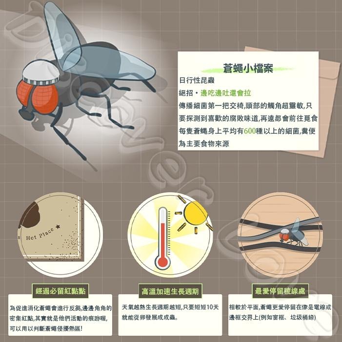 【德國 巴斯夫BASF】一定蠅｜一定蠅蒼蠅餌劑｜防治蒼蠅｜防治果蠅｜防治蚤蠅｜原裝進口｜環署認證｜室內外適用【小嗶購物】-細節圖2