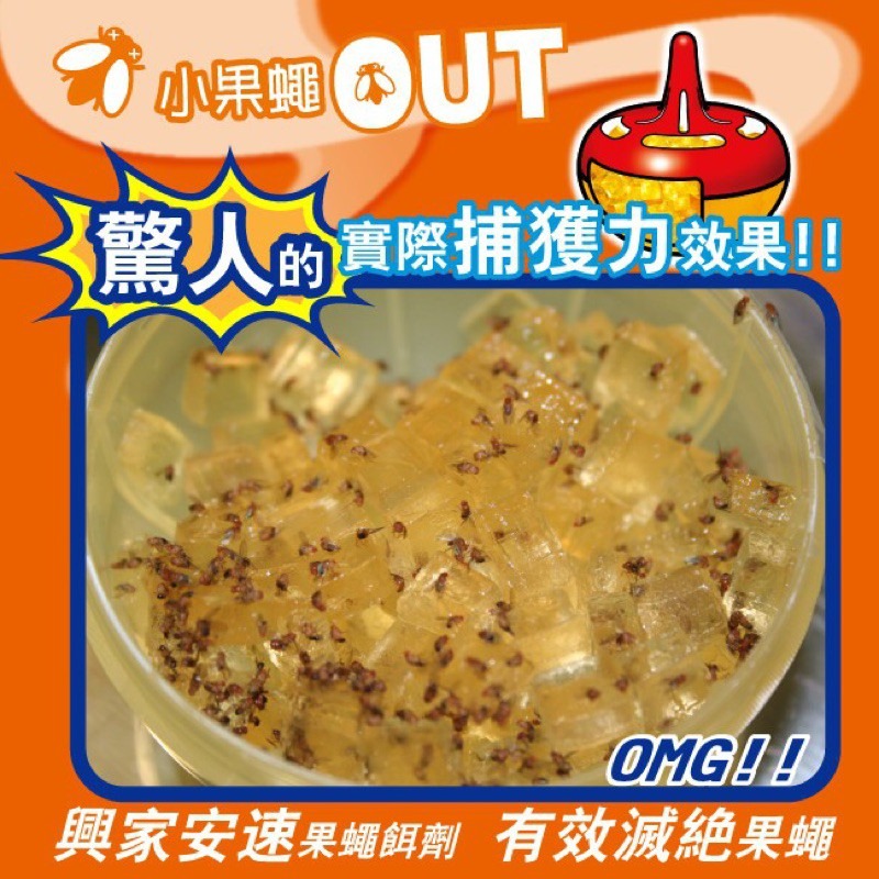 台灣總代理正品【3+1超值組】果蠅餌劑38g(4回份) 果蠅餌劑 果蠅誘捕器 興家安速 果蠅 餌劑 補果蠅-細節圖3