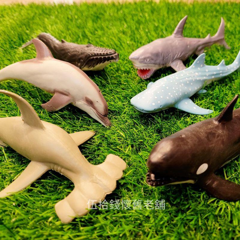 動物海洋 海洋動物 動物模型 模型 動物玩具 魚類 海洋生物 鯊魚 槌頭鯊魚 海豚 鯨魚 殺人鯨 豆腐鯊-細節圖3