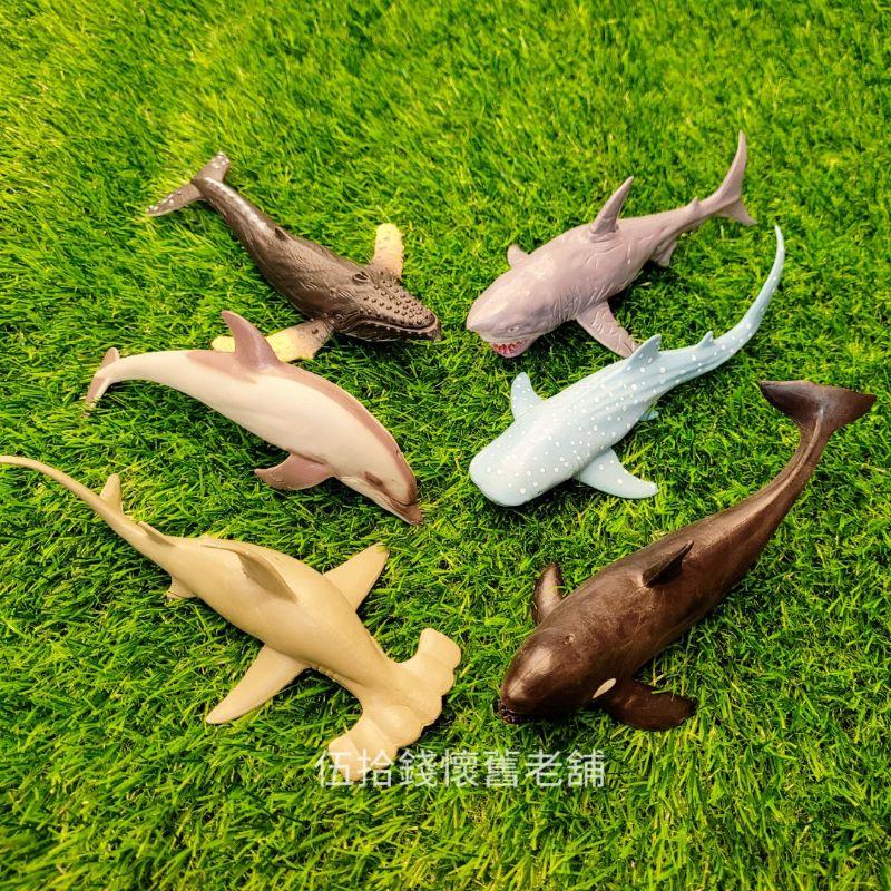 動物海洋 海洋動物 動物模型 模型 動物玩具 魚類 海洋生物 鯊魚 槌頭鯊魚 海豚 鯨魚 殺人鯨 豆腐鯊-細節圖4