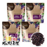 【長青穀典】頂極超大黑珍珠葡萄乾 300g/包×4包 公司現貨 果乾 智利葡萄乾 維生素C 花青素 幫助消化 補充糖分