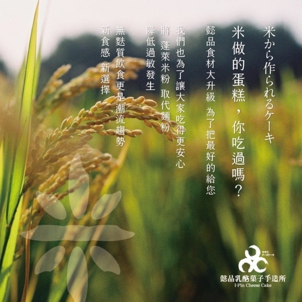 【台灣現貨】懿品乳酪 十勝卷 米做的蛋糕 超人氣商品 米蛋糕 點心 甜點 下午茶 送禮 伴手禮 生乳捲 蛋糕 麵包美食-細節圖2