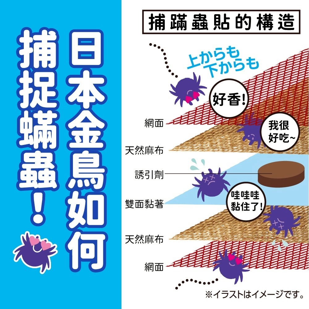 日本KINCHO金鳥補蟎蟲貼紙 3枚入-細節圖3