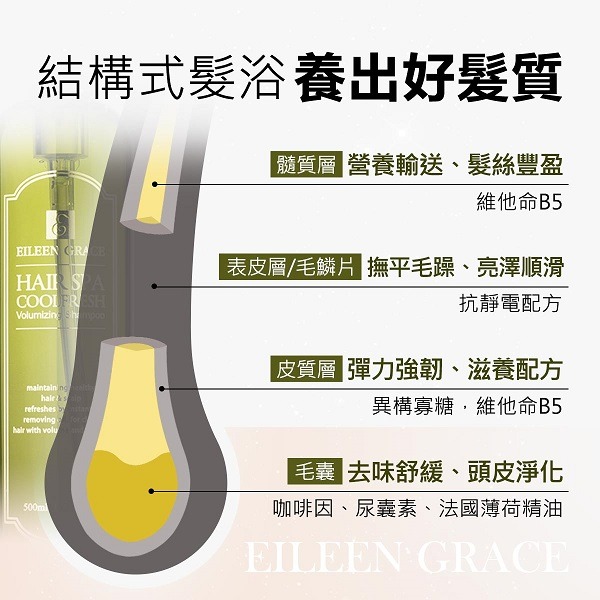 妍霓絲 髮根豐盈沁涼SPA洗髮精500ml-細節圖7