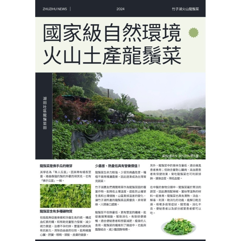 竹子湖火山龍鬚菜麵-細節圖2