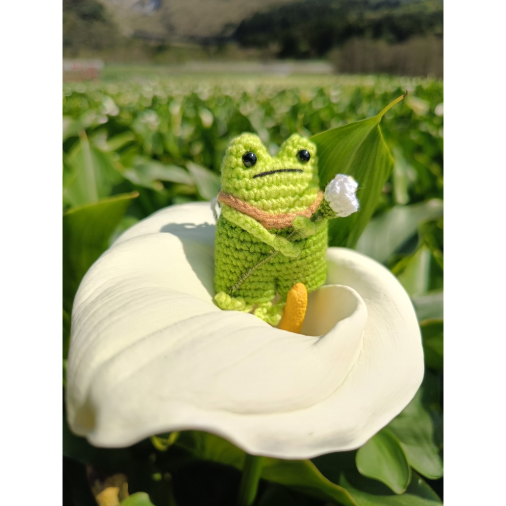 樹蛙阿芋-細節圖2