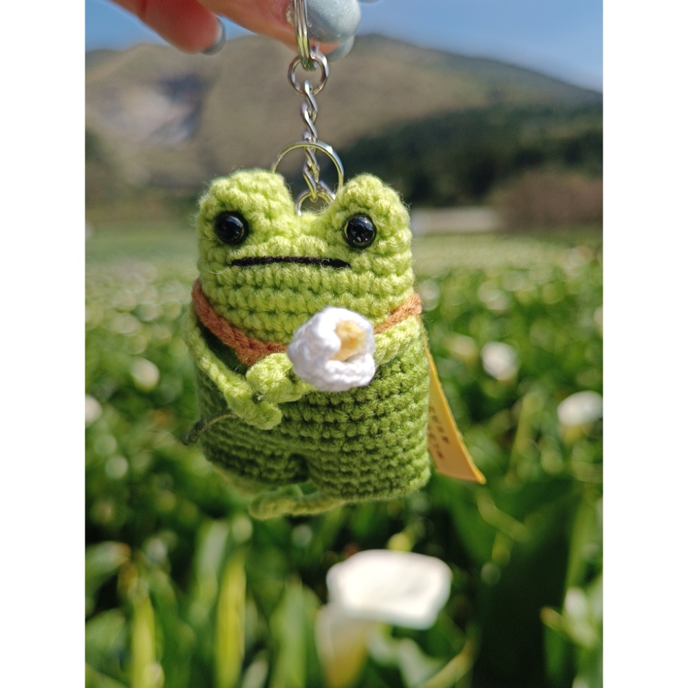 樹蛙阿芋-細節圖4