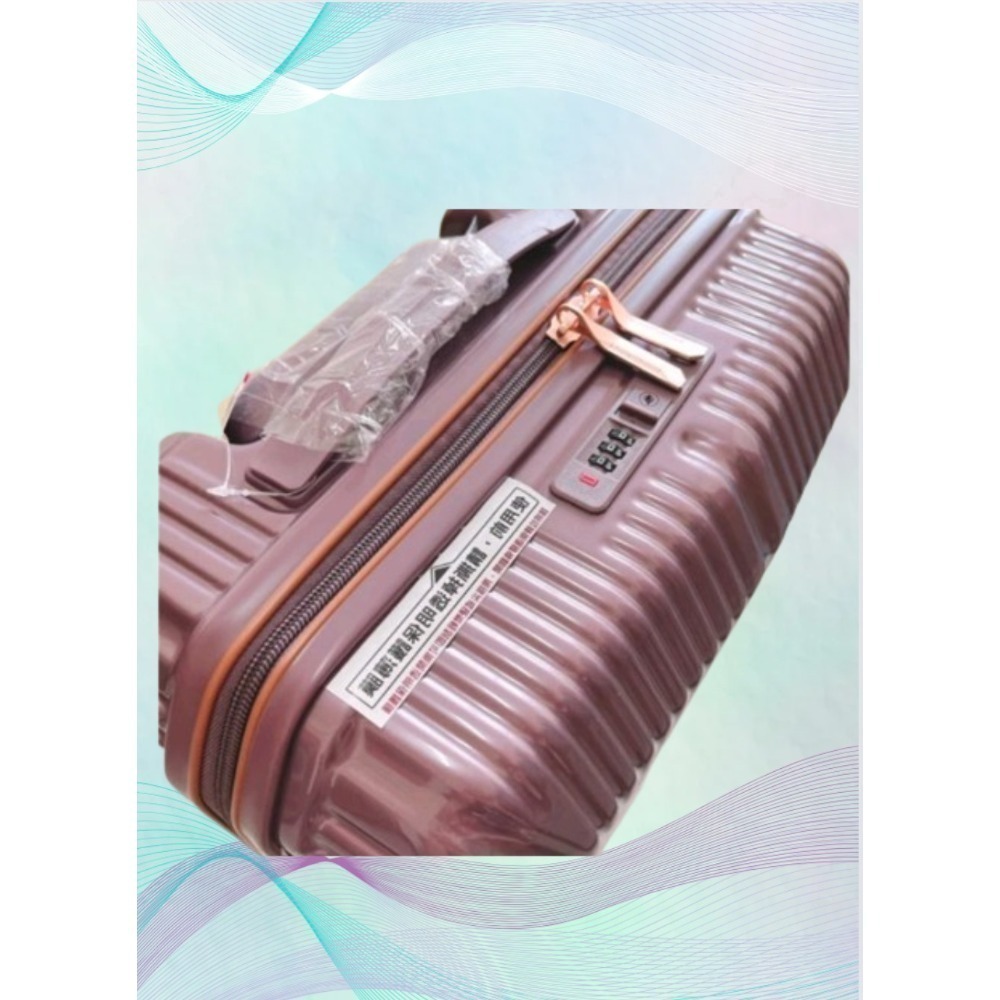 foodpanda 20吋 行李箱 送品牌旅行盒裝牙膏牙刷組-細節圖3