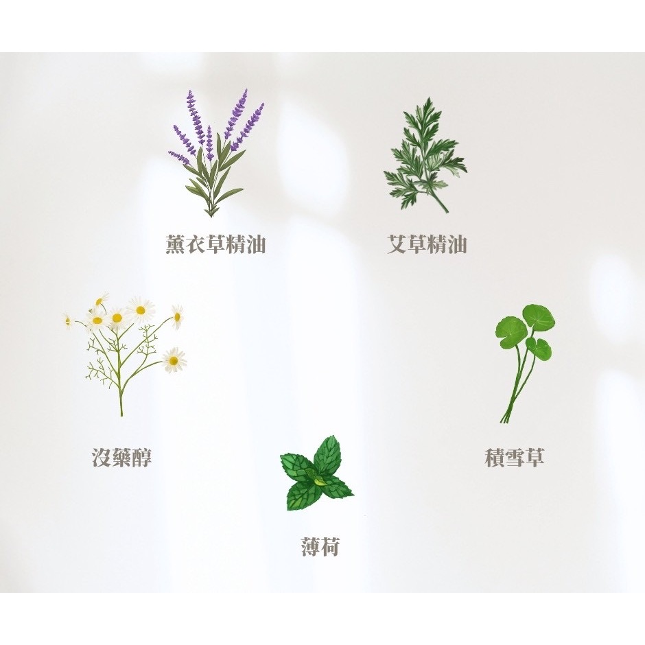 ✨預購新品 LYS植萃舒緩活絡霜🤩-細節圖5