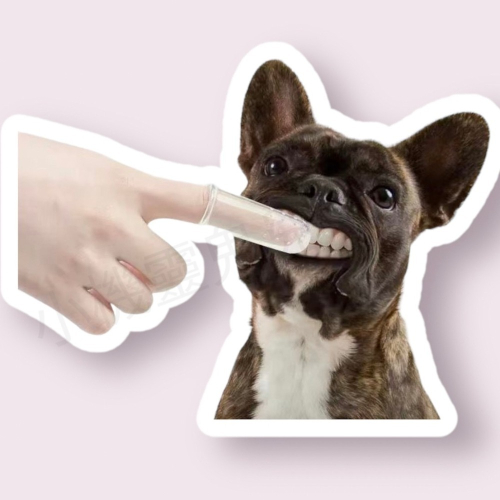 (搬家成本價出清🐾)寵物牙刷 指套牙刷 狗牙刷