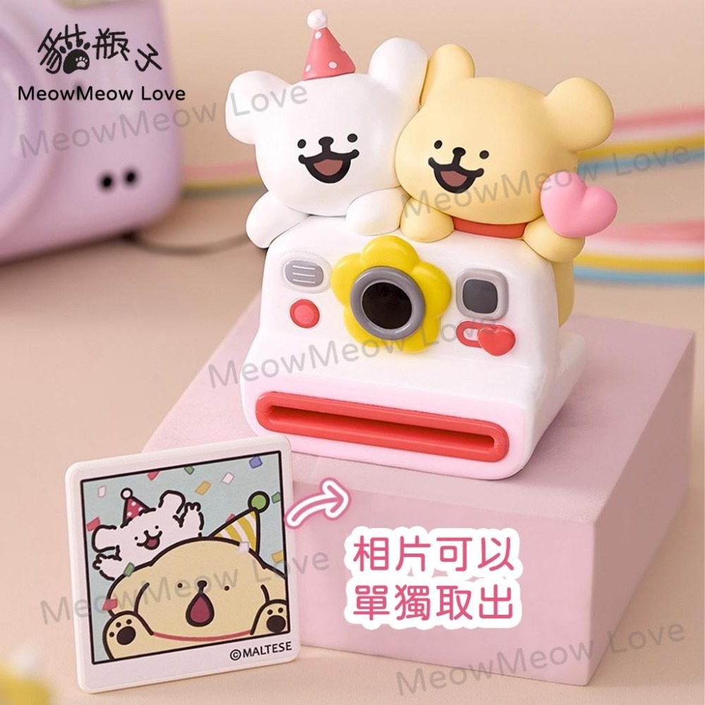 【喵喵屋|24H出貨】PLZDOT 線條小狗 Maltese 歡樂郊遊系列 盲盒 公仔 擺件 可愛禮物 生日 送禮-細節圖3