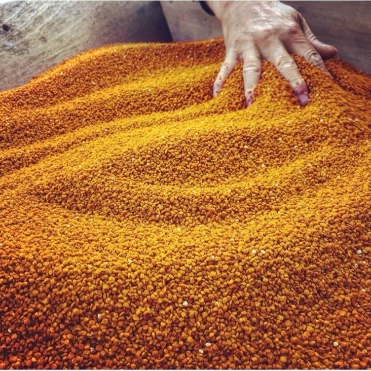 <蜂動園> 高山茶花粉300g-細節圖3