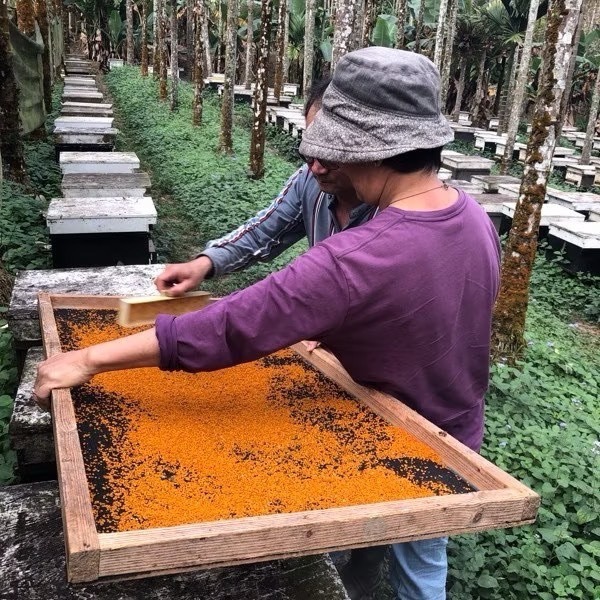 <蜂動園> 高山茶花粉300g-細節圖4