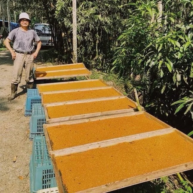 <蜂動園> 高山茶花粉300g-細節圖6