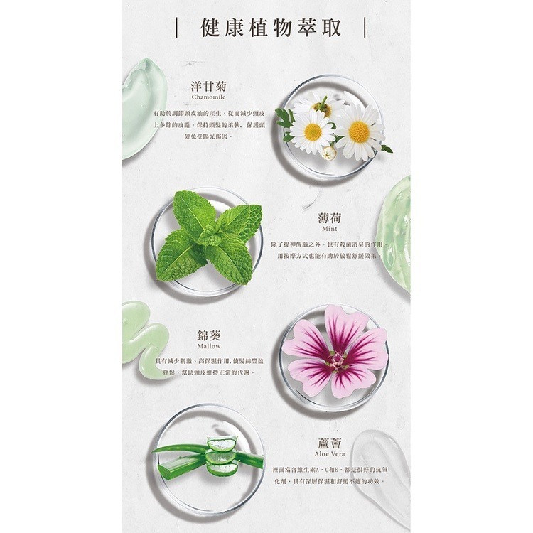 開發票 Amida 葉綠素 頭皮頭髮調理素 200ml、1000ml 多款供選-細節圖5