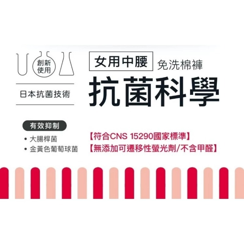 開發票 Cotton Republic 棉花共和國 抗菌科學 女用中腰免洗棉褲 3入/包 多尺寸供選 出差、旅遊-細節圖3