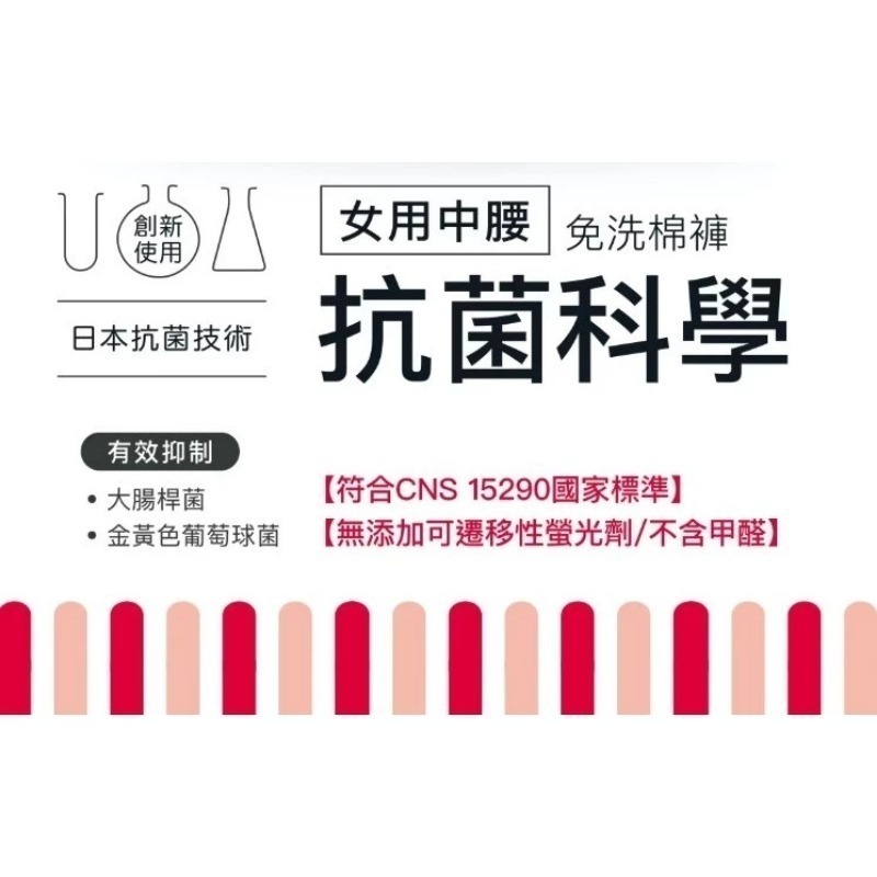 Cotton Republic 棉花共和國 抗菌科學 女用中腰免洗棉褲 3入/包 多尺寸供選 出差、旅遊-細節圖3