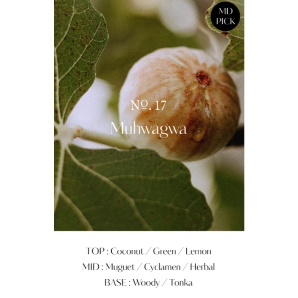 開發票 韓國 Hetras 飯店療癒身體乳 香氛乳液 保濕乳液 1013ml/入 多款供選-規格圖4