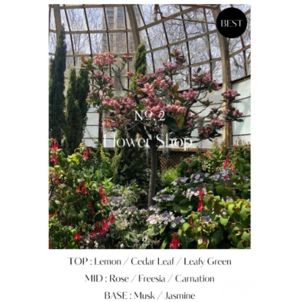 預購 韓國 Hetras 香氛泡沫洗手液 洗手慕絲 慕斯2入組 (515ml*2) 多款供選-規格圖3