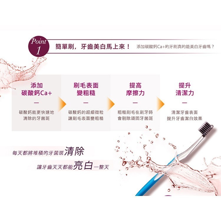 開發票 刷樂 Shallop 備長炭亮白牙刷 3支入-細節圖4