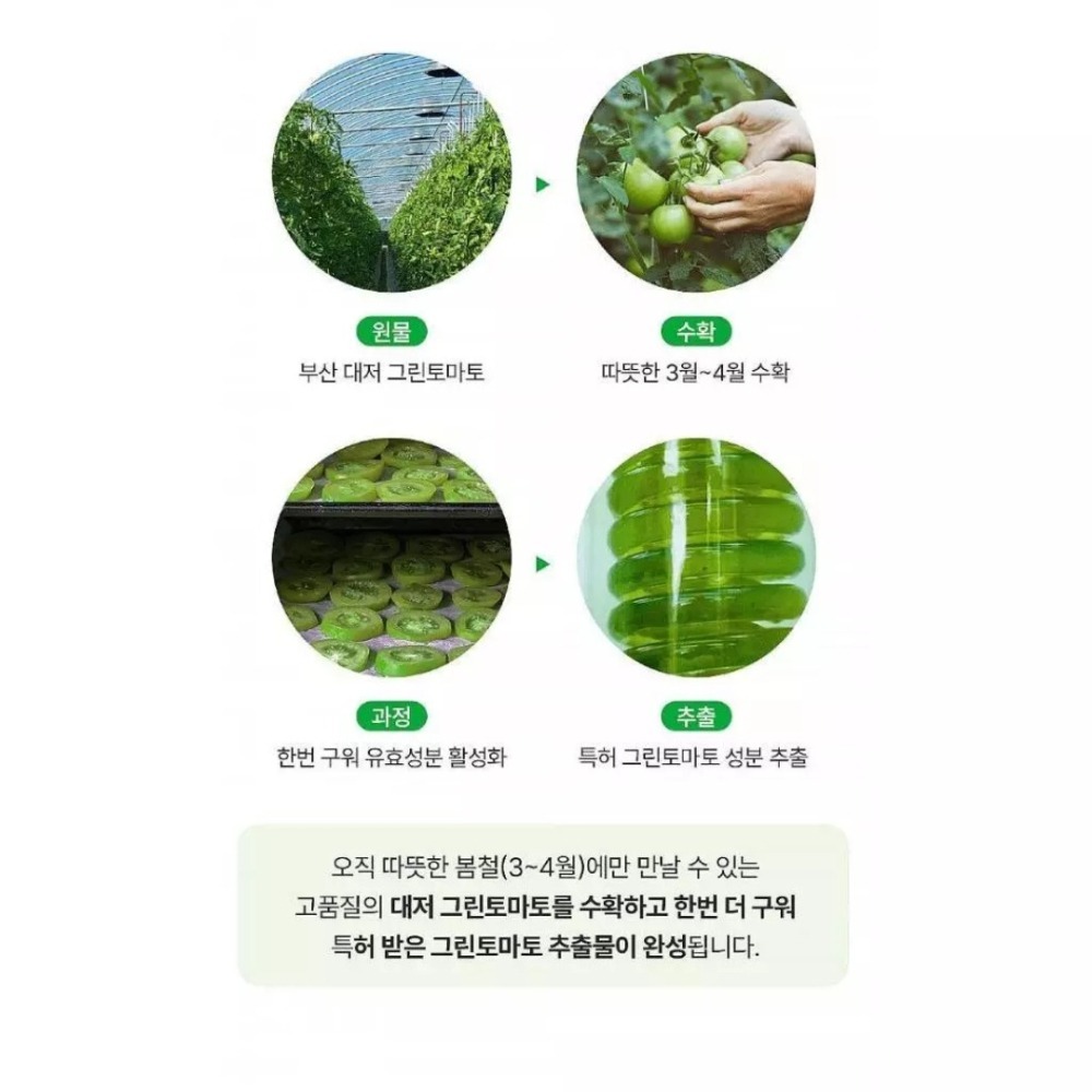 開發票 韓國 SUNGBOON EDITOR 綠番茄毛孔面膜 23g/片-細節圖4