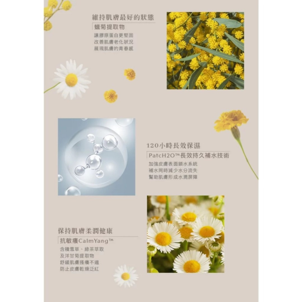 開發票 JIUJIU 親親 輕奢香氛潤膚乳 400ml/入 多款供選-細節圖7