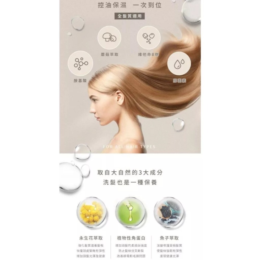 開發票 JIUJIU 親親 輕奢 香氛洗髮精 500ml/入 多款供選-細節圖4