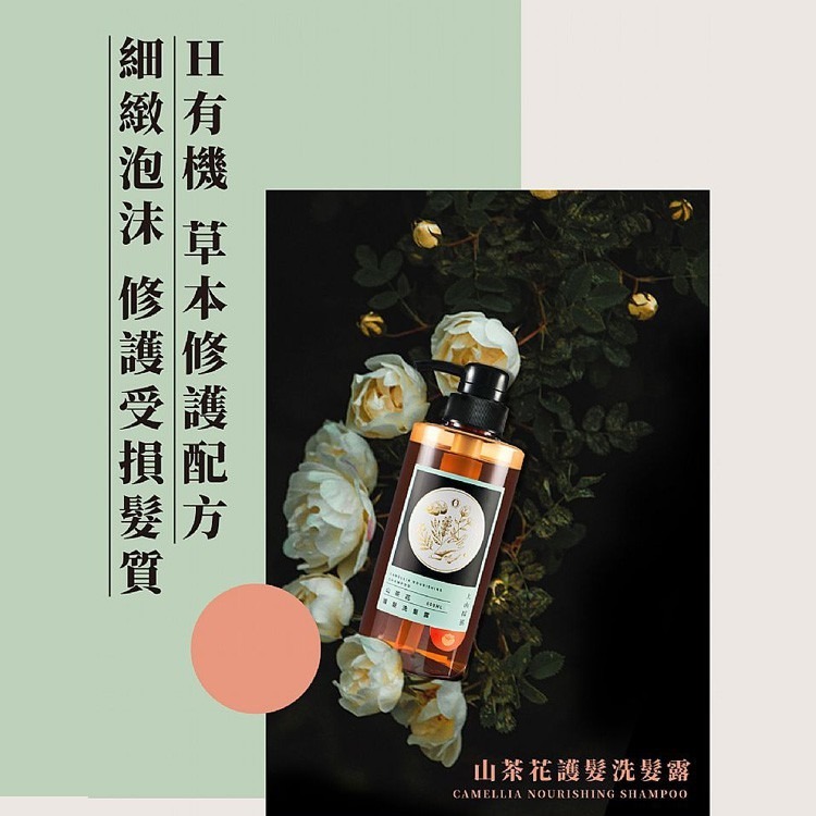開發票 Tasio 上山採藥 洗髮露 430ml/入 多款供選 知名飯店愛用-細節圖2