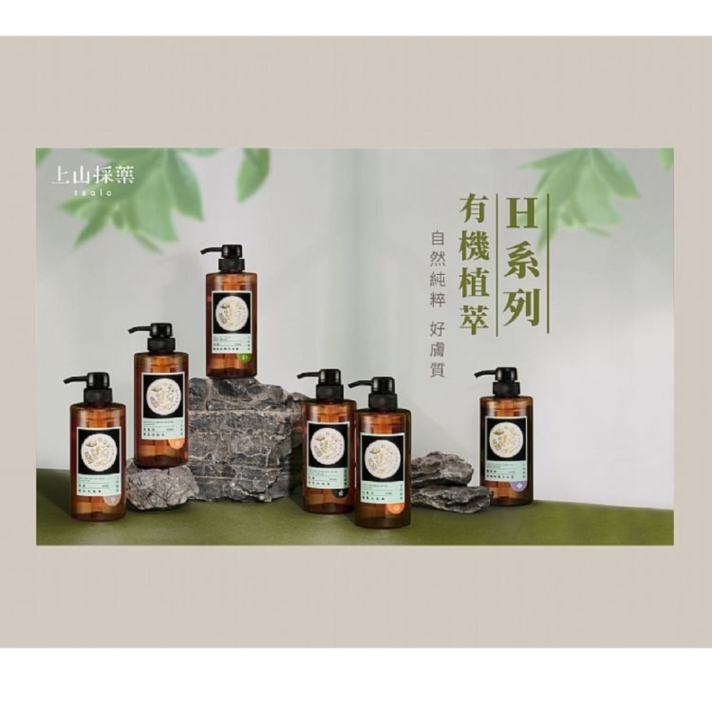 開發票 Tasio 上山採藥 洗髮露 430ml/入 多款供選 知名飯店愛用-細節圖4