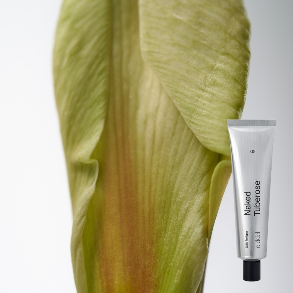 Tuberose 月下香 420