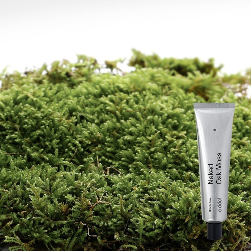 Oak Moss 橡木苔 501