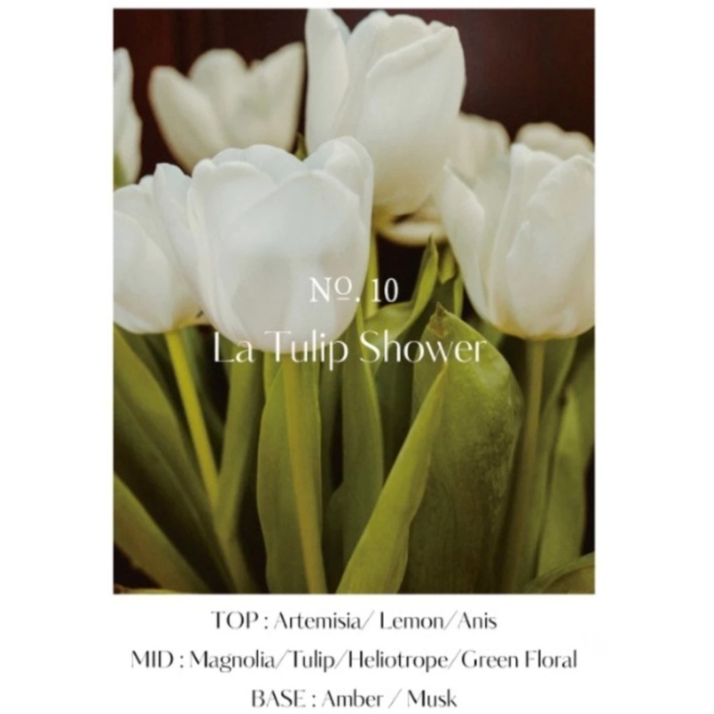 韓國 hetras 首席調香師擴香瓶 2入組 (500ml*2) 多款供選-規格圖7