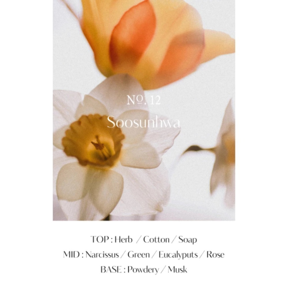 開發票 韓國 Hetras 植萃香氛 洗髮精/護髮乳 1013ml/入 多款供選-規格圖6