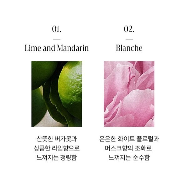 開發票 韓國 AVCA 專櫃級 香氛 身體乳 800ml/入 多款供選 乳液-細節圖3