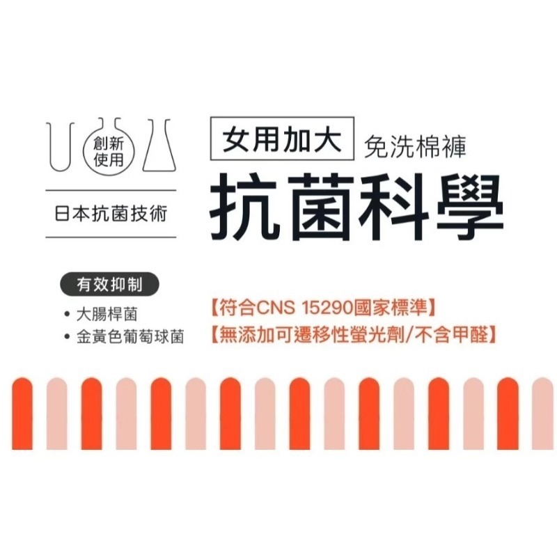 開發票 Cotton Republic 棉花共和國 女用加大免洗棉褲3入/包 拋棄式 一次性內褲 日拋內褲 生理褲 多款-細節圖2