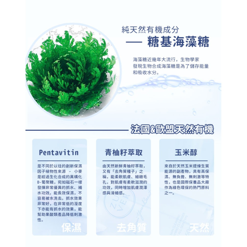 ZUIVER 純粹肌 水感Q彈潔顏保濕慕絲 現貨 洗顏慕絲 臉部清潔 深層清潔 ZR-001 泡泡清潔-細節圖6