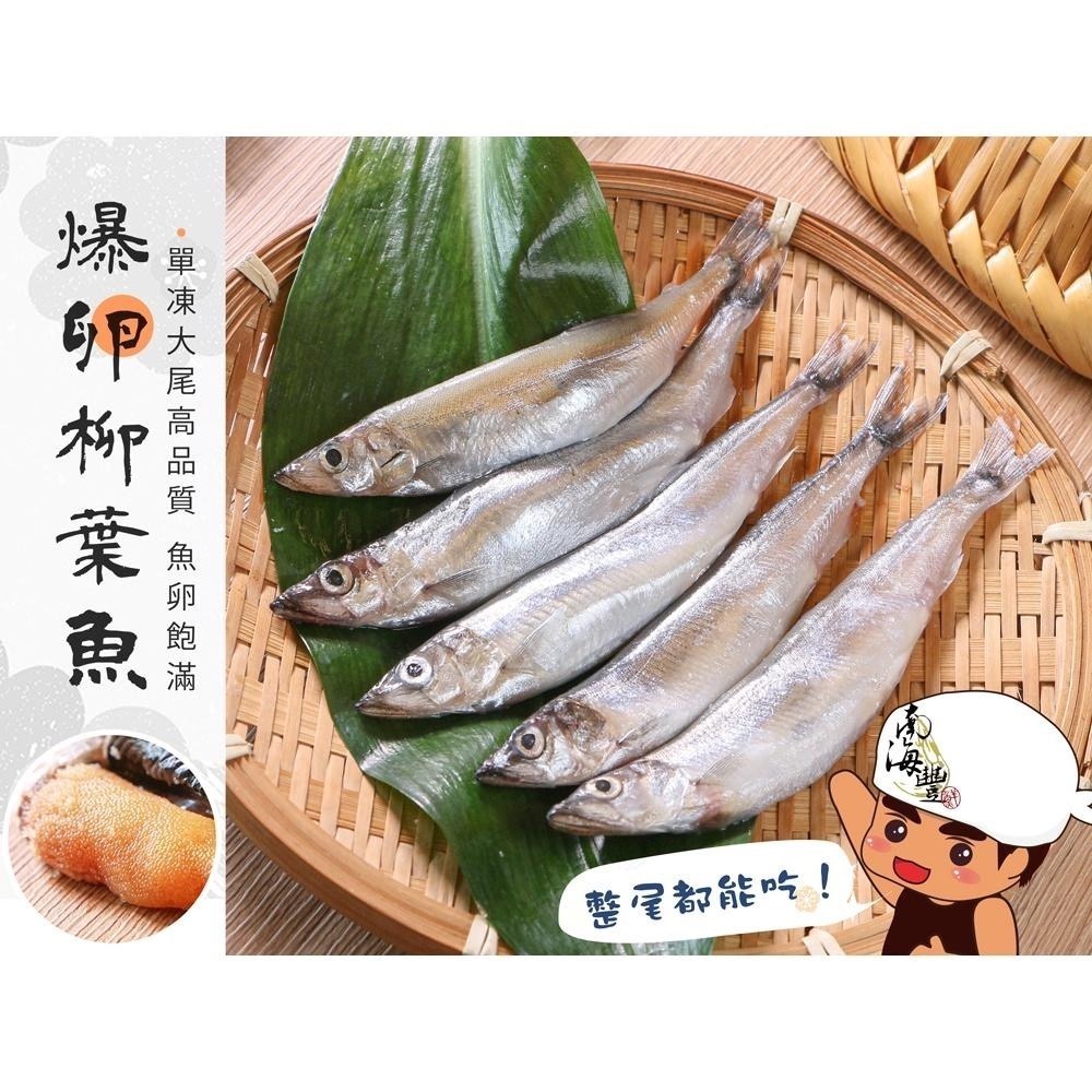 南海豐【大尾爆卵柳葉魚】400g/包 加拿大高品質喜相逢/飽滿魚卵/尾尾單凍/烤肉必備-細節圖3