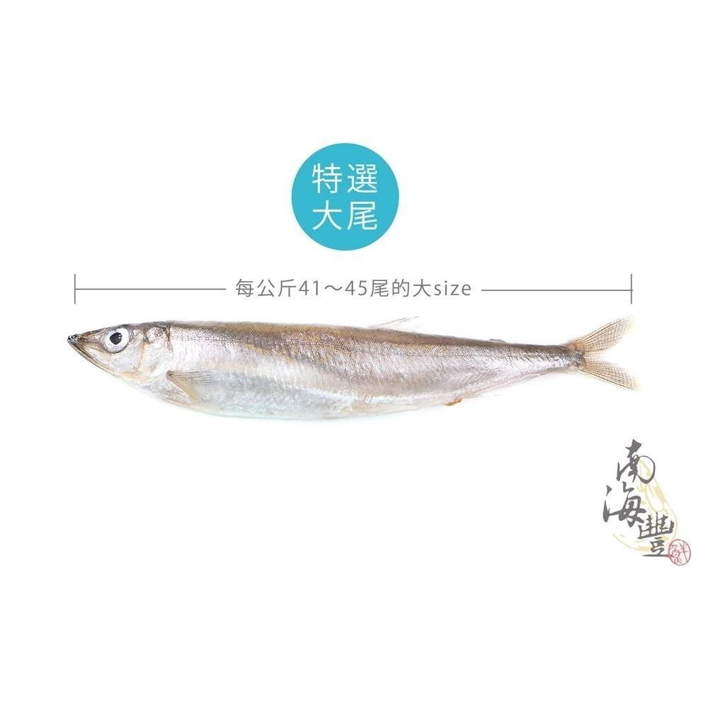 南海豐【大尾爆卵柳葉魚】400g/包 加拿大高品質喜相逢/飽滿魚卵/尾尾單凍/烤肉必備-細節圖4